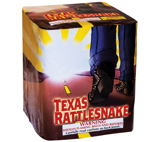 Texas Rattle Snake