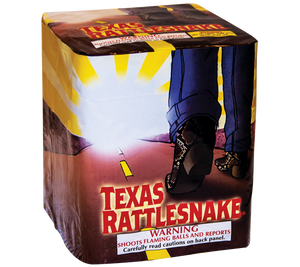 Texas Rattle Snake